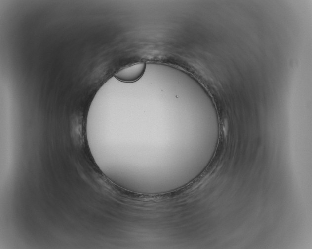 X0000113891396200909241132