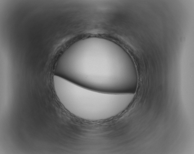 X0000113891398200909241132