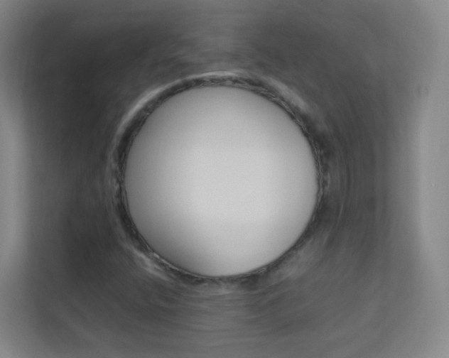 X0000113891400200909241132