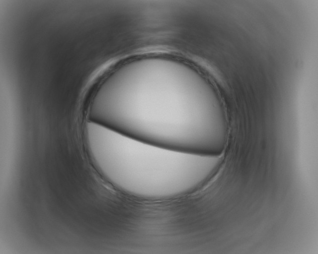 X0000113891406200909241133