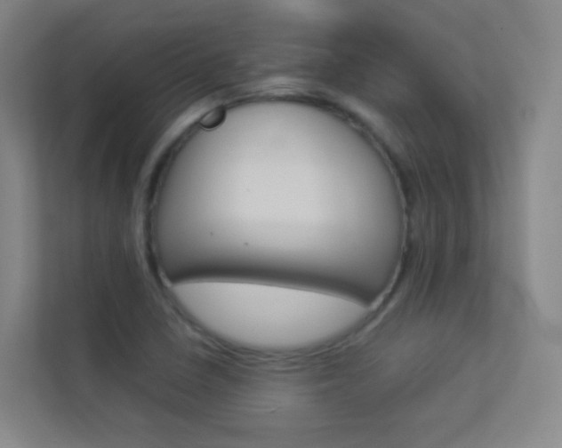 X0000113891410200909241133