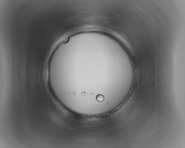 X0000113891413200909241133