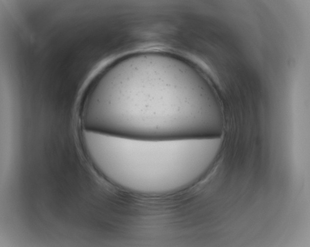 X0000113891414200909241133