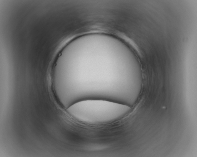 X0000113891415200909241133