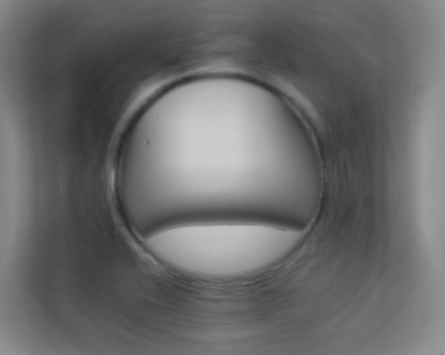 X0000113891416200909241133