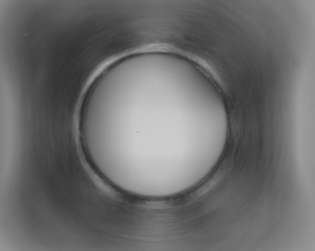 X0000113891422200909241133