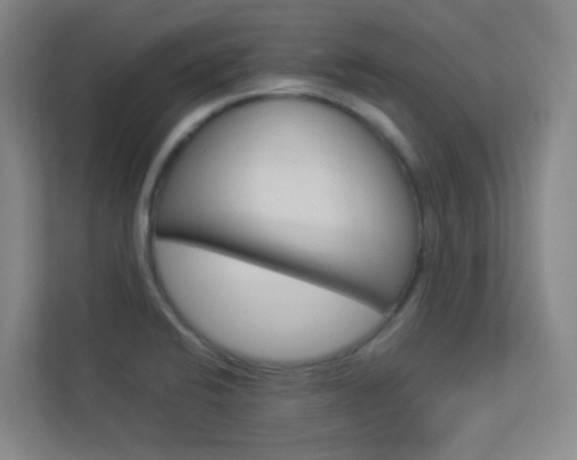 X0000113891424200909241133