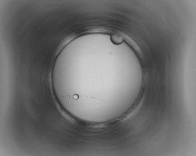 X0000113891425200909241133