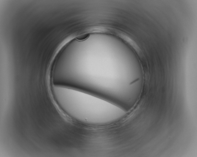 X0000113891426200909241133