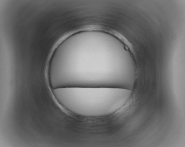 X0000113891429200909241133