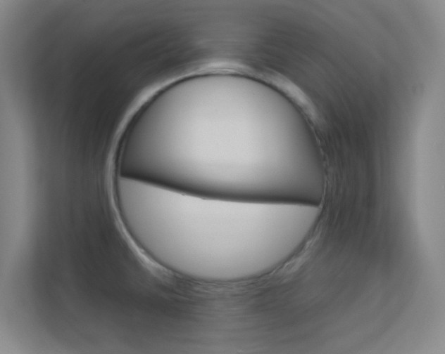 X0000113891430200909241133