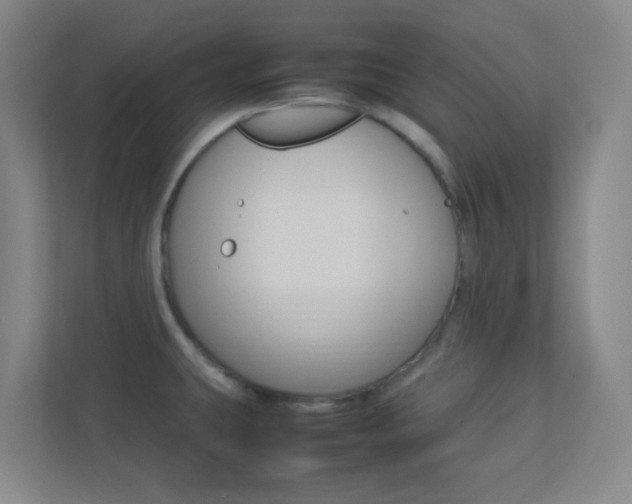 X0000113891431200909241133