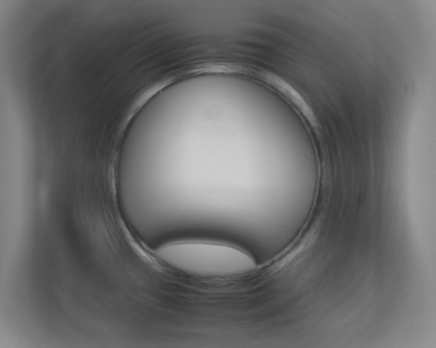 X0000113891433200909241133