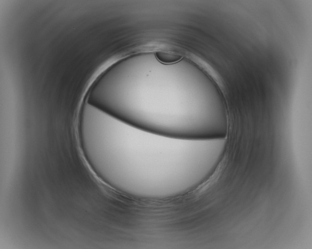 X0000113891434200909241133