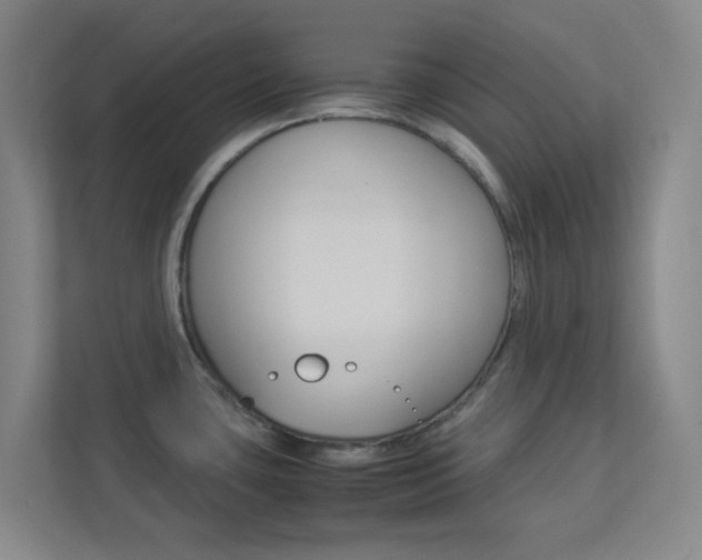 X0000113891435200909241133
