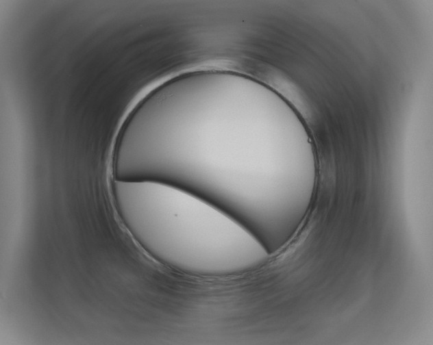 X0000113891436200909241133