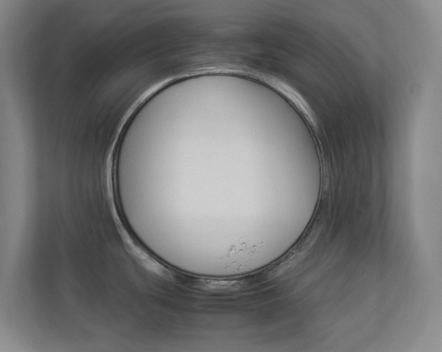 X0000113891439200909241133