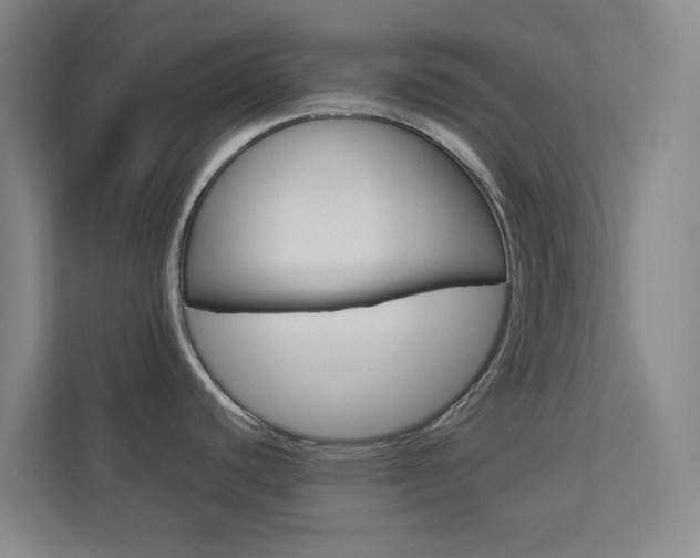 X0000113891440200909241133