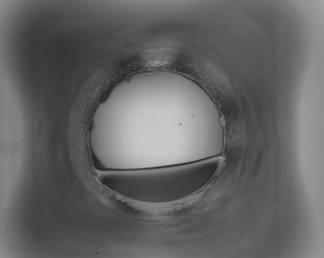 X0000113891441200909241132