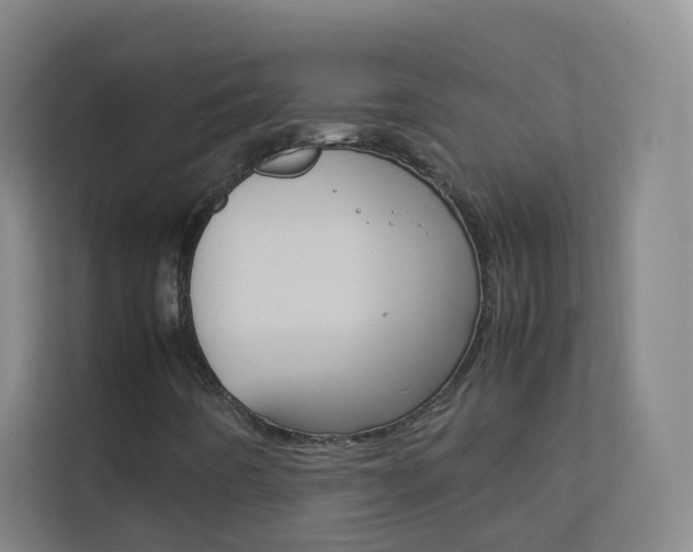 X0000113891442200909241132