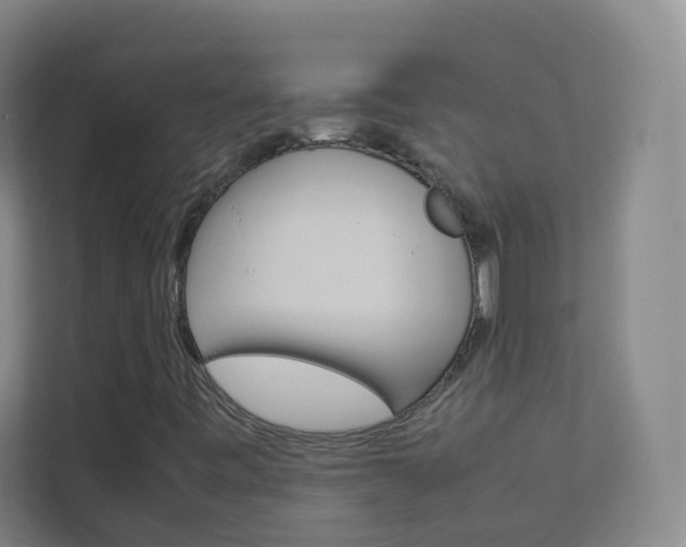X0000113891443200909241132