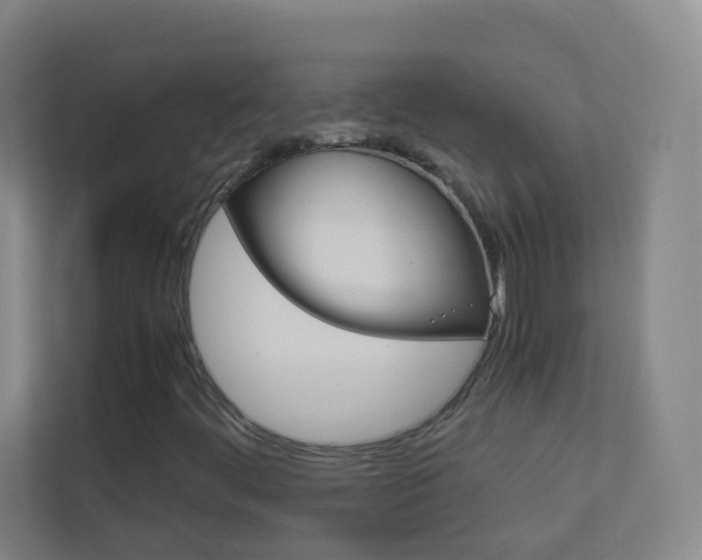 X0000113891444200909241132