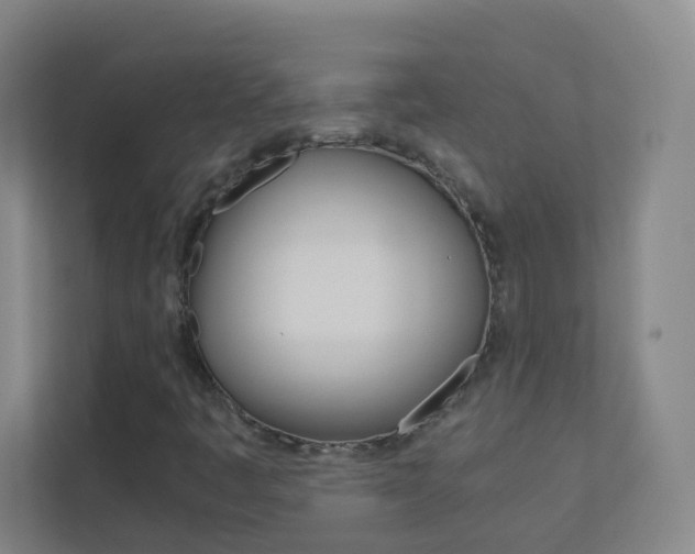 X0000113891445200909241132