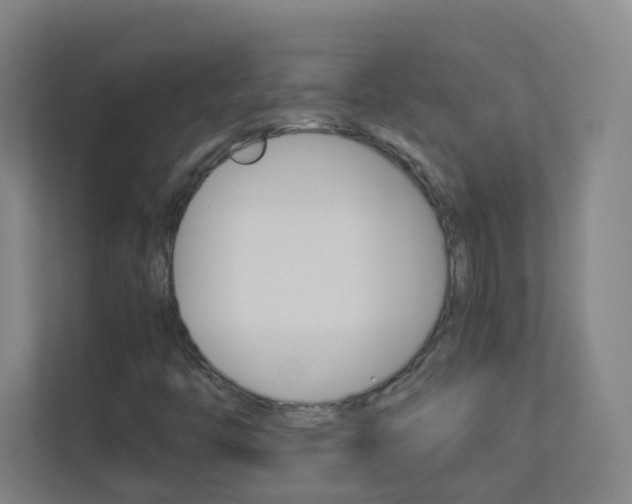 X0000113891446200909241132
