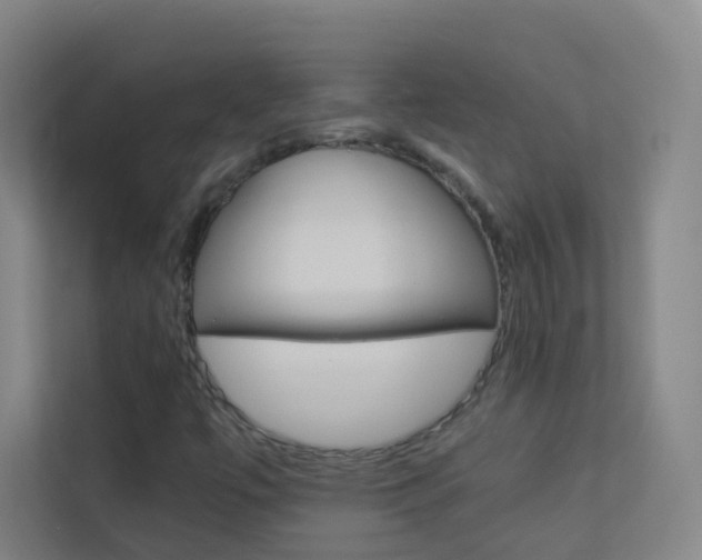 X0000113891447200909241132