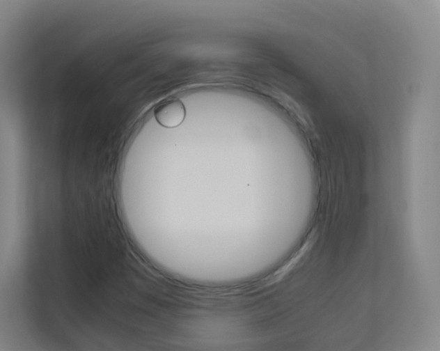 X0000113891449200909241132