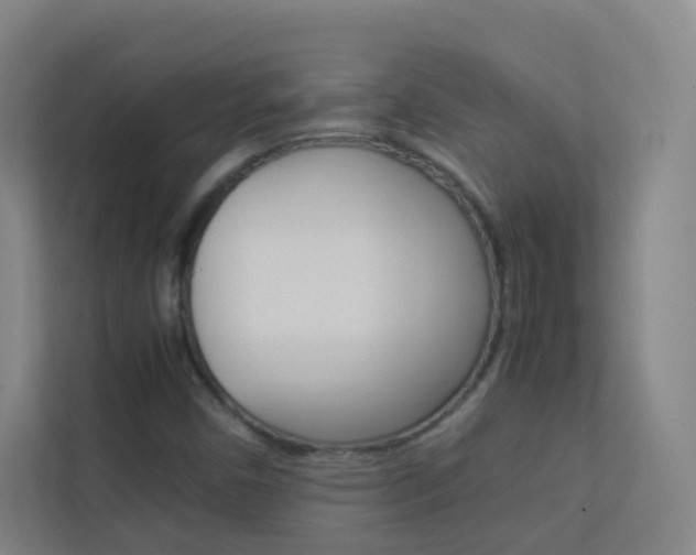 X0000113891450200909241132