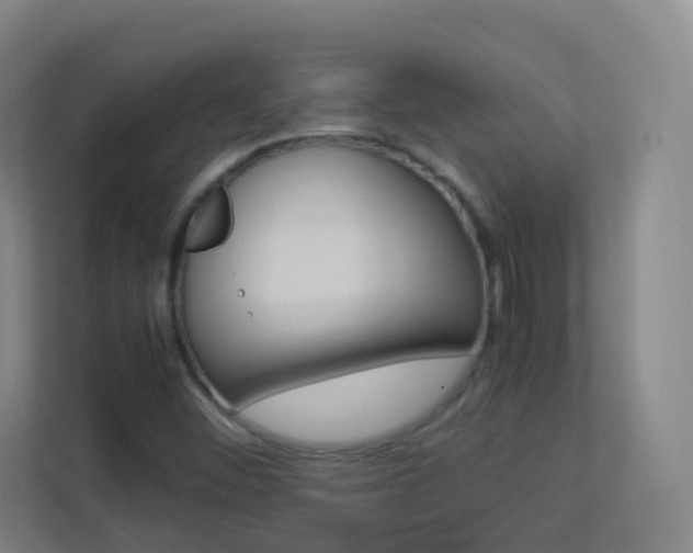 X0000113891452200909241132