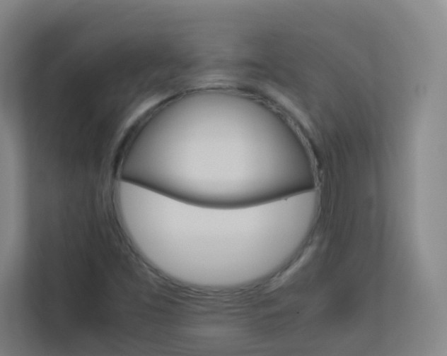 X0000113891453200909241132