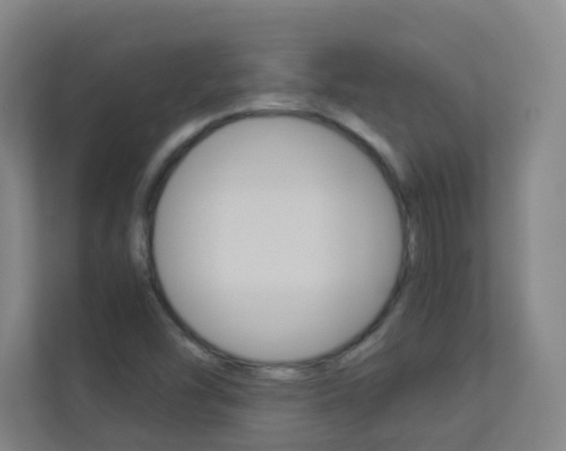 X0000113891454200909241132
