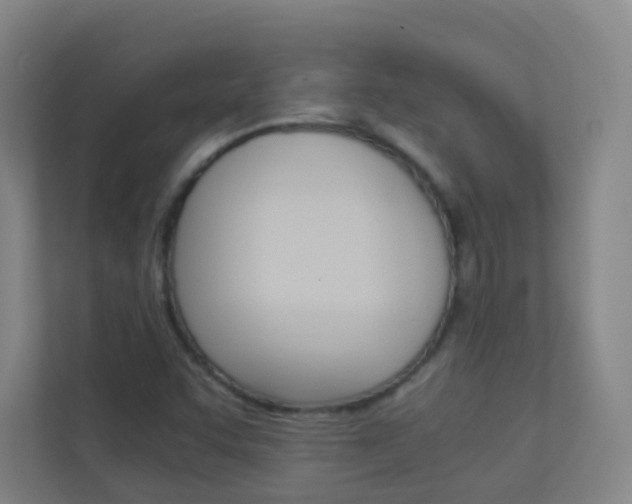X0000113891455200909241132