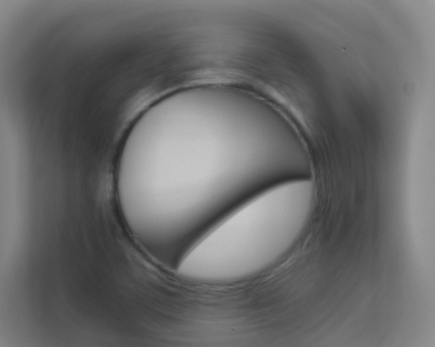 X0000113891459200909241132