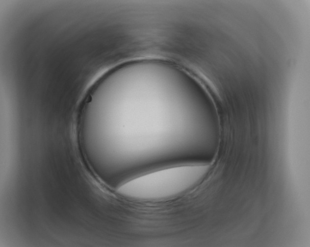 X0000113891460200909241132