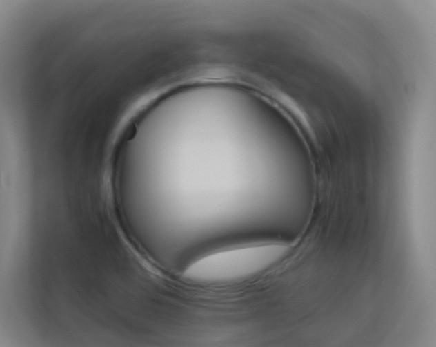 X0000113891464200909241132