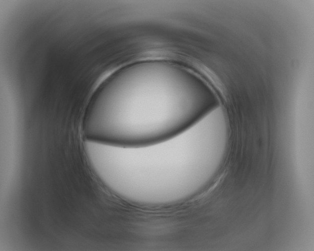 X0000113891465200909241132