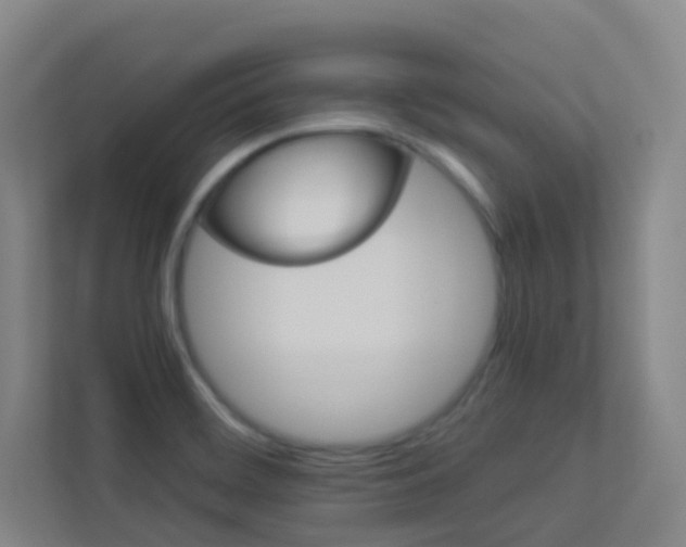 X0000113891468200909241132
