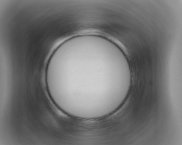 X0000113891470200909241132