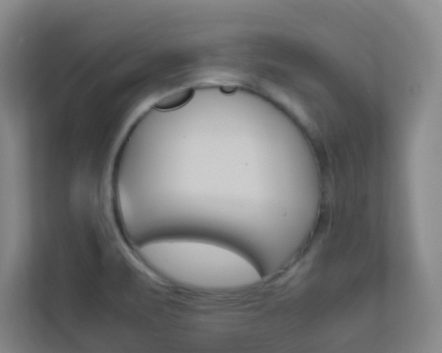 X0000113891471200909241132