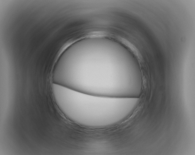 X0000113891473200909241132