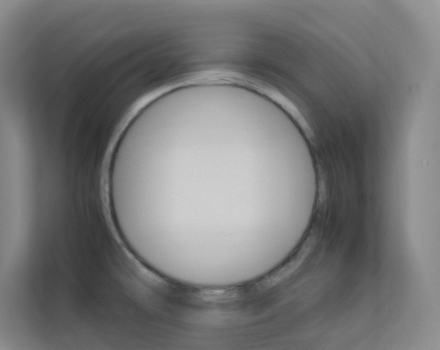 X0000113891478200909241132