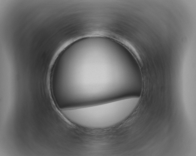 X0000113891480200909241132