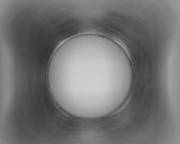 X0000113891481200909241132