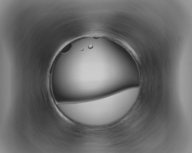 X0000113891484200909241132