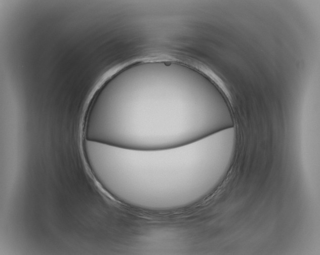 X0000113891485200909241132