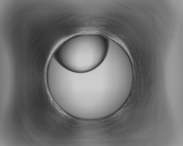 X0000113891488200909241132