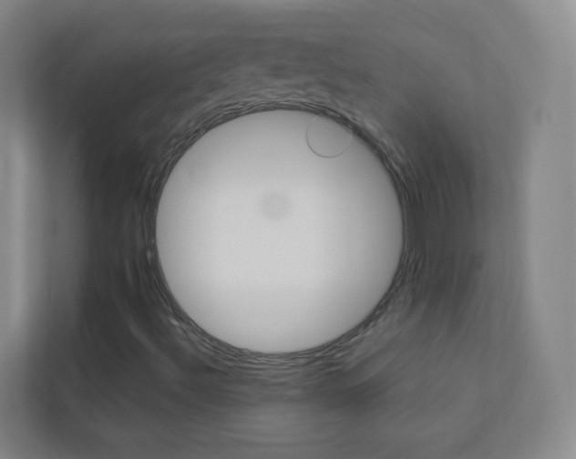 X0000113891492200909241131